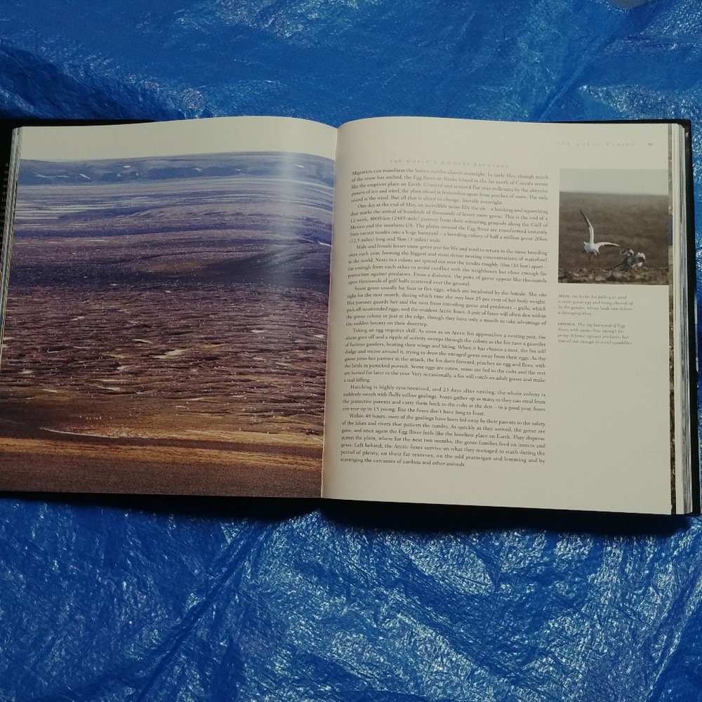 planet earth, as you've never seen it before - Picture 2 of 6